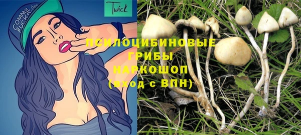 mix Аркадак