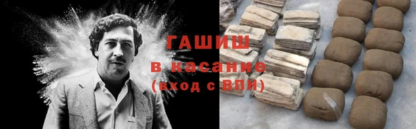 прущие грибы Армянск