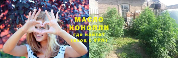 прущие грибы Армянск