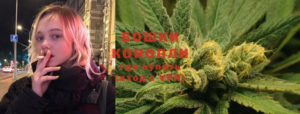 прущие грибы Армянск